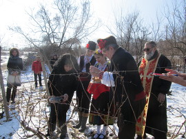 С по бъчва вино и пелин „поляха” празника Зарезан в&hellip;