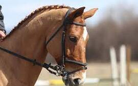 В три лясковски села отново се подготвят за&hellip;