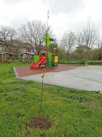 В Лясковец граждани, институции и фирми се включиха в&hellip;